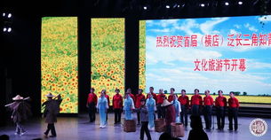 共譜知青情 同筑文旅夢(mèng)——南通知青在首屆泛長三角知青之歌文化旅游節(jié)中的文化交流與傳承
